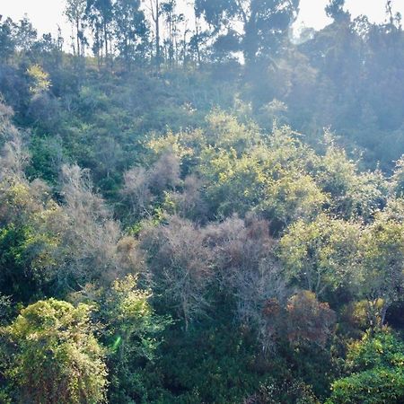 La Flora Kodaikanal Buitenkant foto